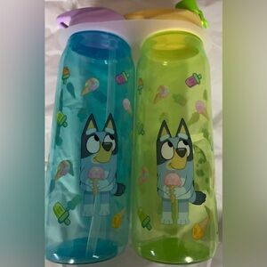 Bluey Ice Cream Themed Water Bottles